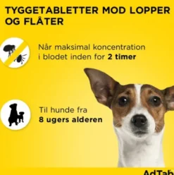 AdTab til hunde 1,3 til 2,5 kg
