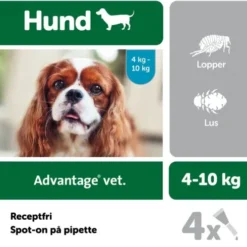 Advantage vet. til hunde mellem 4-10 kg