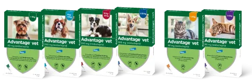Advantage vet. til katte over 4 kg
