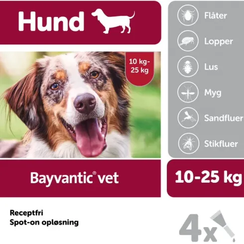 Bayvantic vet til hunde 10-25 kg