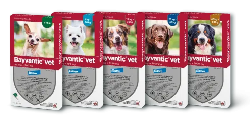 Bayvantic vet til hunde 10-25 kg