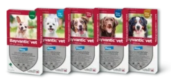 Bayvantic vet til hunde under 4 kg