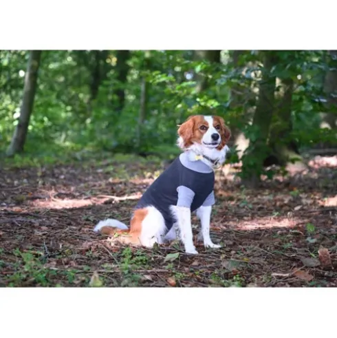 BUSTER Body Suit Classic til hunde