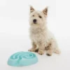 BUSTER DogMaze, turkis