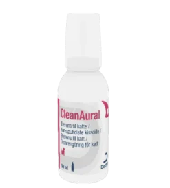 CleanAural Kat