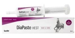 Diapaste Hest