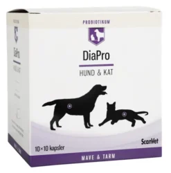 Diapro Hund & Kat