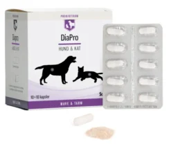 Diapro Hund & Kat
