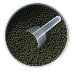Equitop Gonex