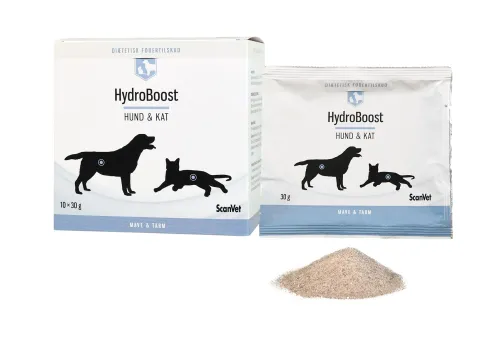 HydroBoost