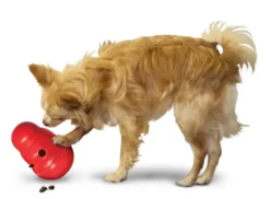 KONG Wobbler