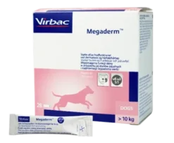 Megaderm