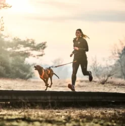 Non-stop Dogwear CaniX Belt 2.0 – Løbebælte