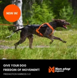 Non-stop Dogwear Freemotion Harness 5.0