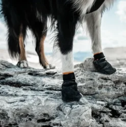 Non-stop Dogwear Protector Bootie