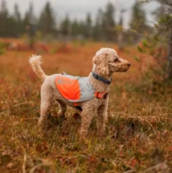 Non-stop Dogwear Reflection Blanket