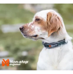 Non-stop Dogwear Roam Collar, Black