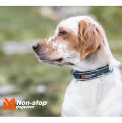 Non-stop Dogwear Roam Collar, Black