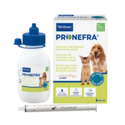 Pronefra