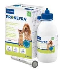 Pronefra