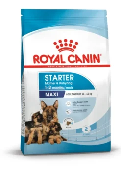 Royal Canin Maxi Starter, Mother & Babydog tørfoder