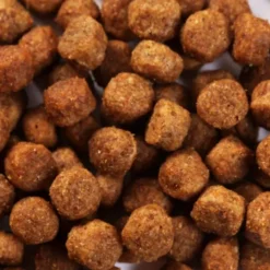 SPECIFIC CXD-S Adult Small Breed