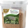 SUCCEED DC Granulat