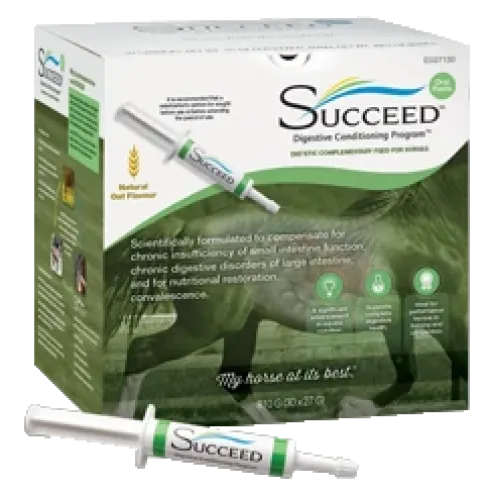 SUCCEED DC Paste