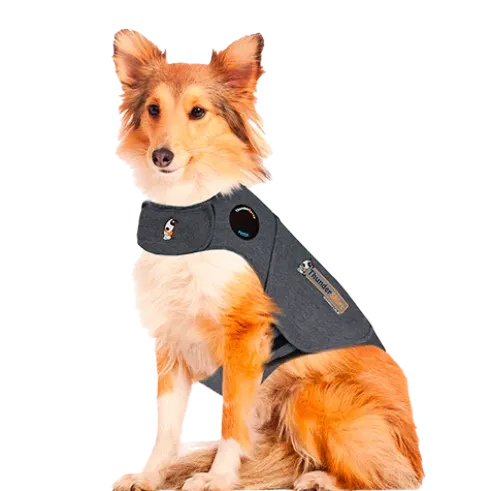 Thundershirt, grå