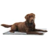 Vet Bed, Anti-slip, grå