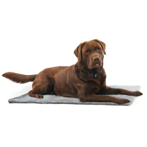 Vet Bed, Anti-slip, grå