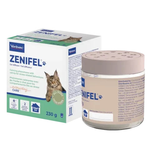 Zenifel Gel Diffuser